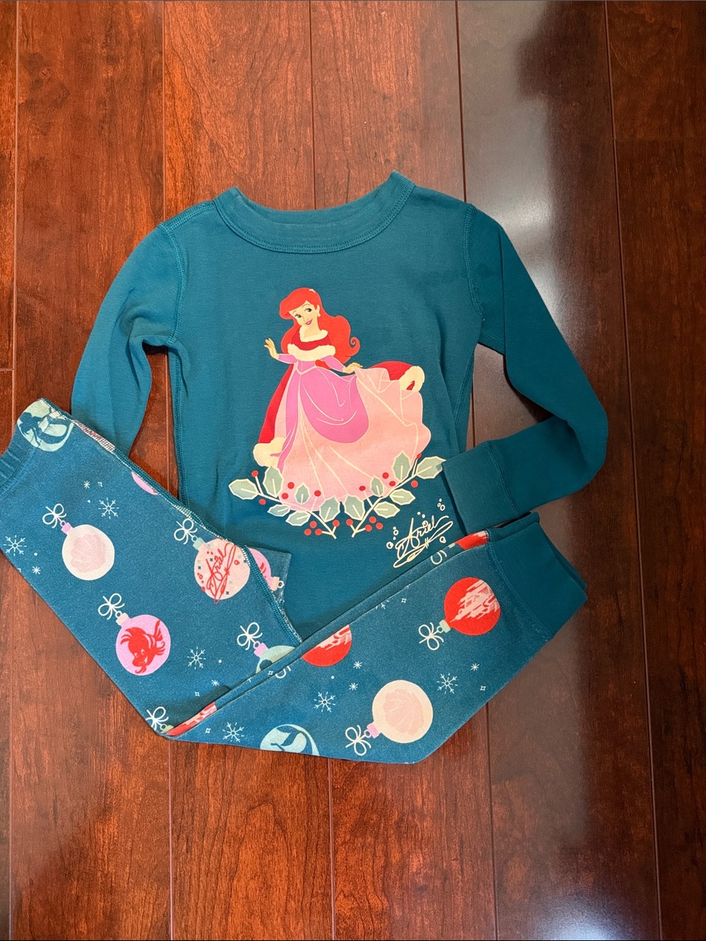 Hanna Andersson Teal Girls Pajama Set with Pink Princess Graphic